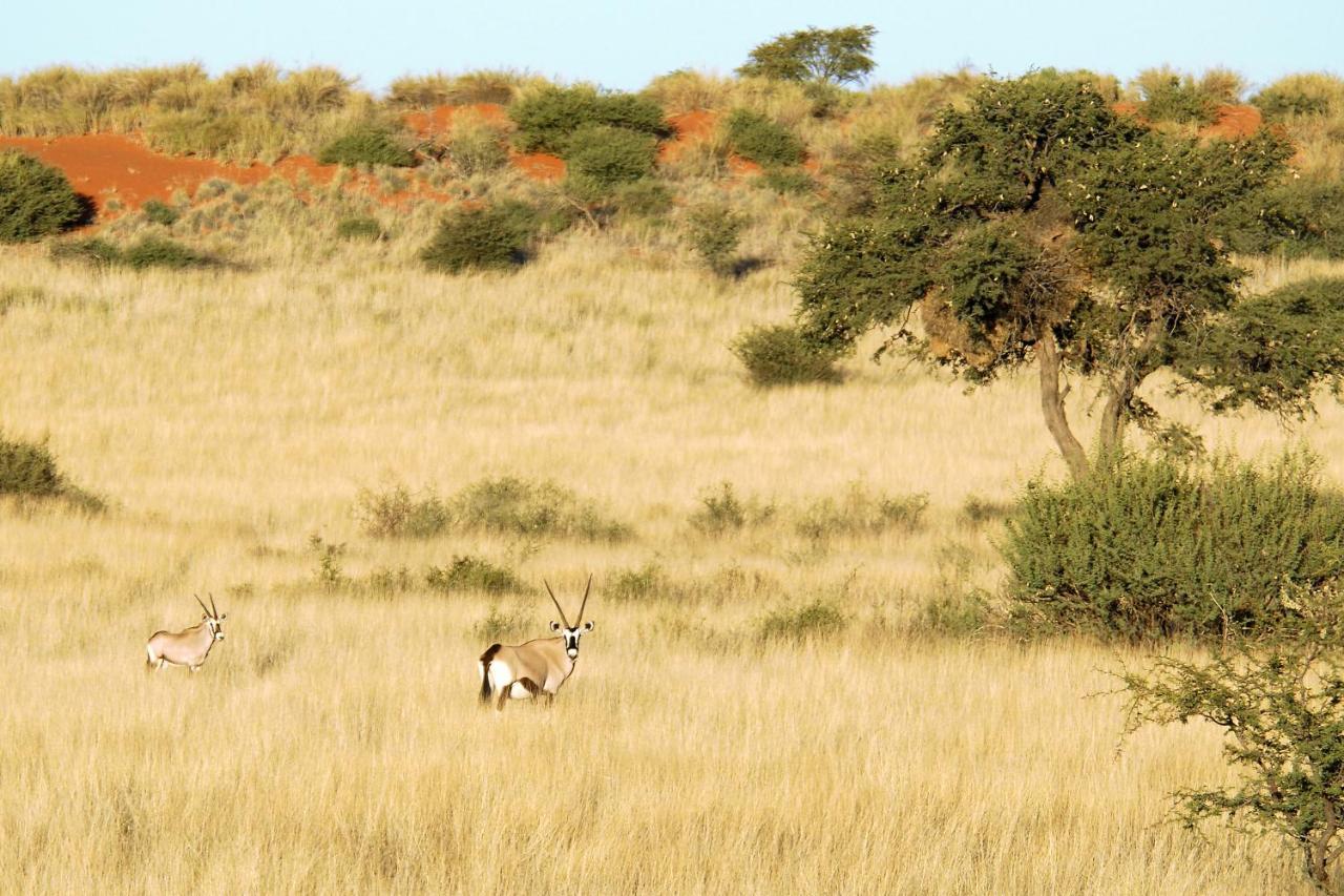 Gondwana Kalahari Anib Lodge Hardap Ngoại thất bức ảnh