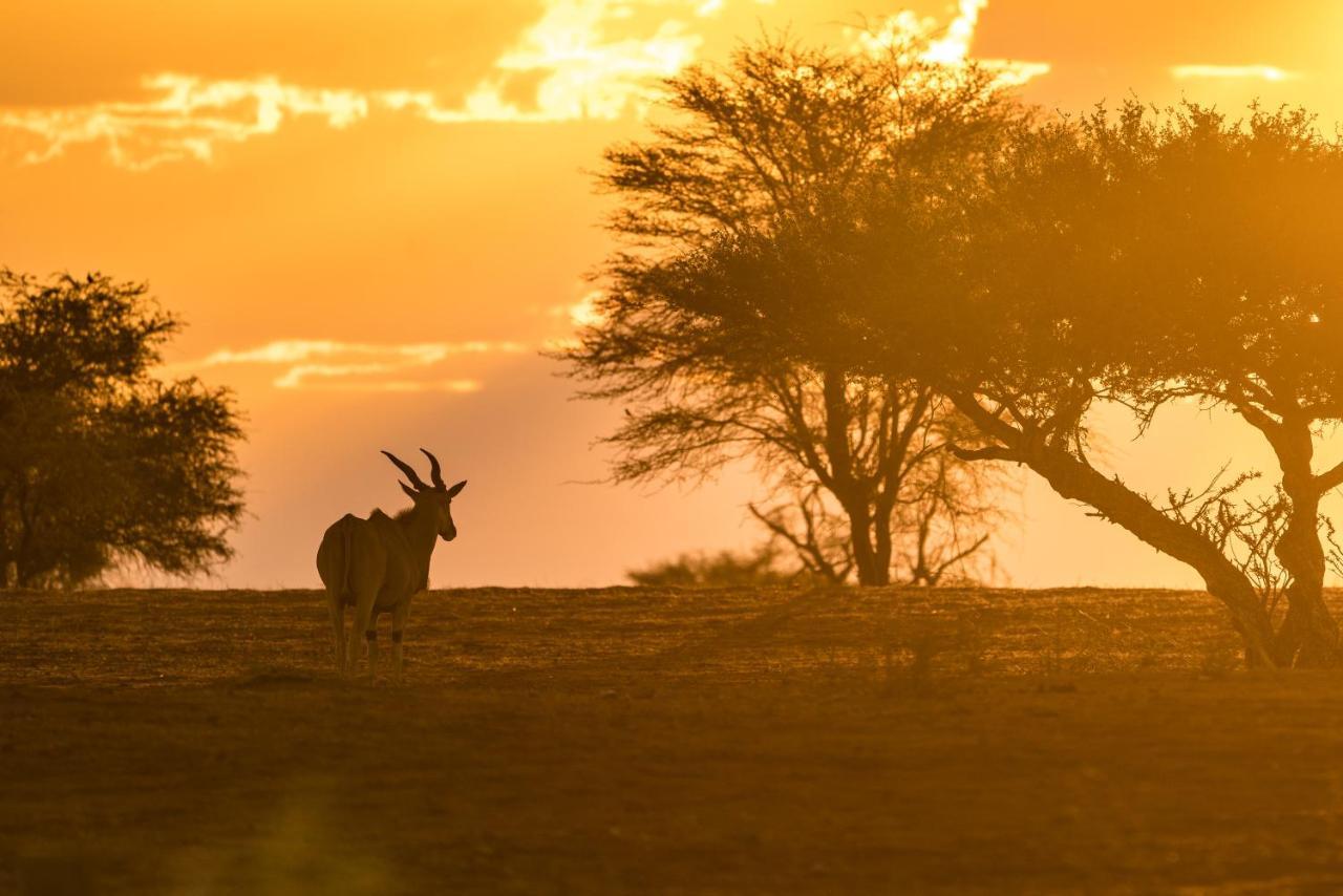 Gondwana Kalahari Anib Lodge Hardap Ngoại thất bức ảnh